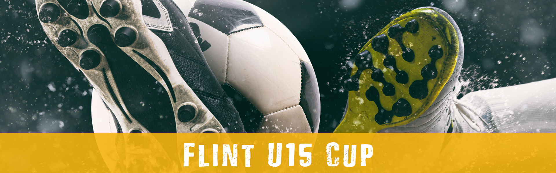 https://festival.flintfotball.no/wp-content/uploads/2022/01/Flint-Cup-U15-header-nettside.png