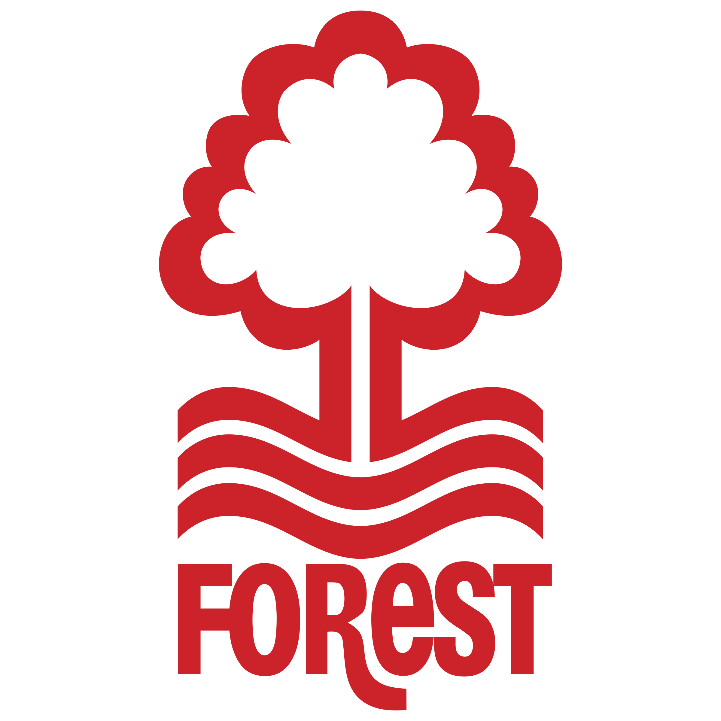 https://festival.flintfotball.no/wp-content/uploads/2025/10/nottingham-forest-fc-logo-png-transparent.png